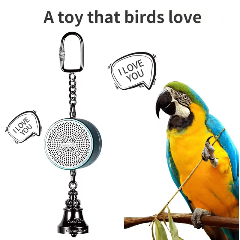 Parrot Talking Coach Interactive Voice Recording Toy With Bell 2