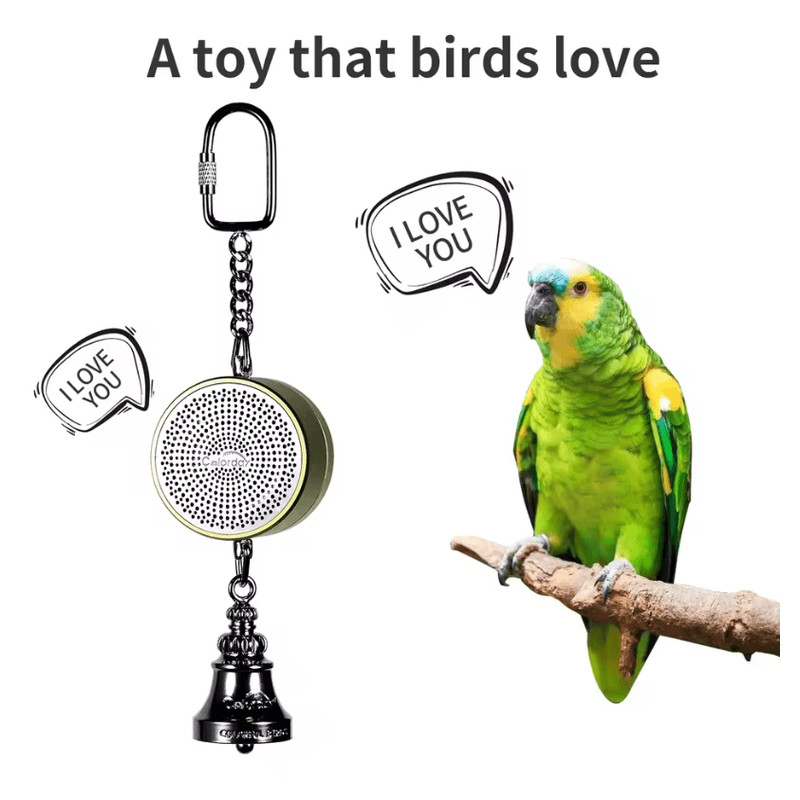 Parrot Talking Coach Interactive Voice Recording Toy With Bell 3