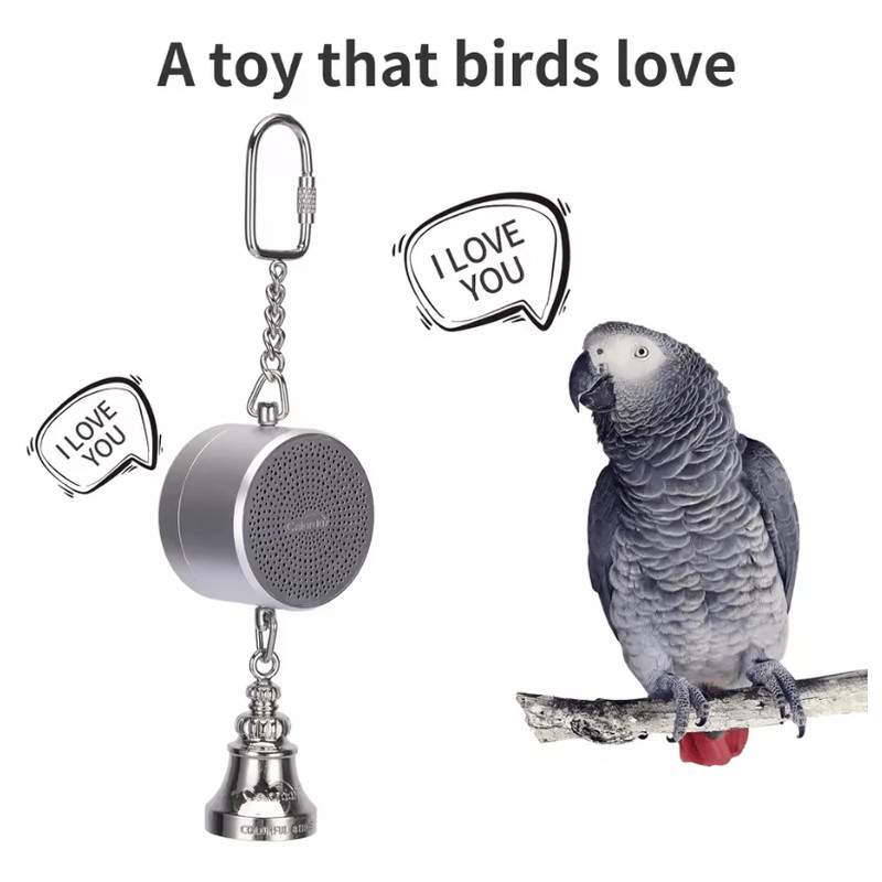 Parrot Talking Coach Interactive Voice Recording Toy With Bell 4