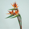 Artificial Bird Of Paradise Flowers With Long Stems For Tropical Home And Party Decor 1