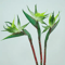 Artificial Bird Of Paradise Flowers With Long Stems For Tropical Home And Party Decor 2