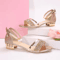 Gold And Silver Low Heel Sandals For Women Casual Open Toe Summer Shoes 1