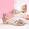 Gold And Silver Low Heel Sandals For Women Casual Open Toe Summer Shoes 1