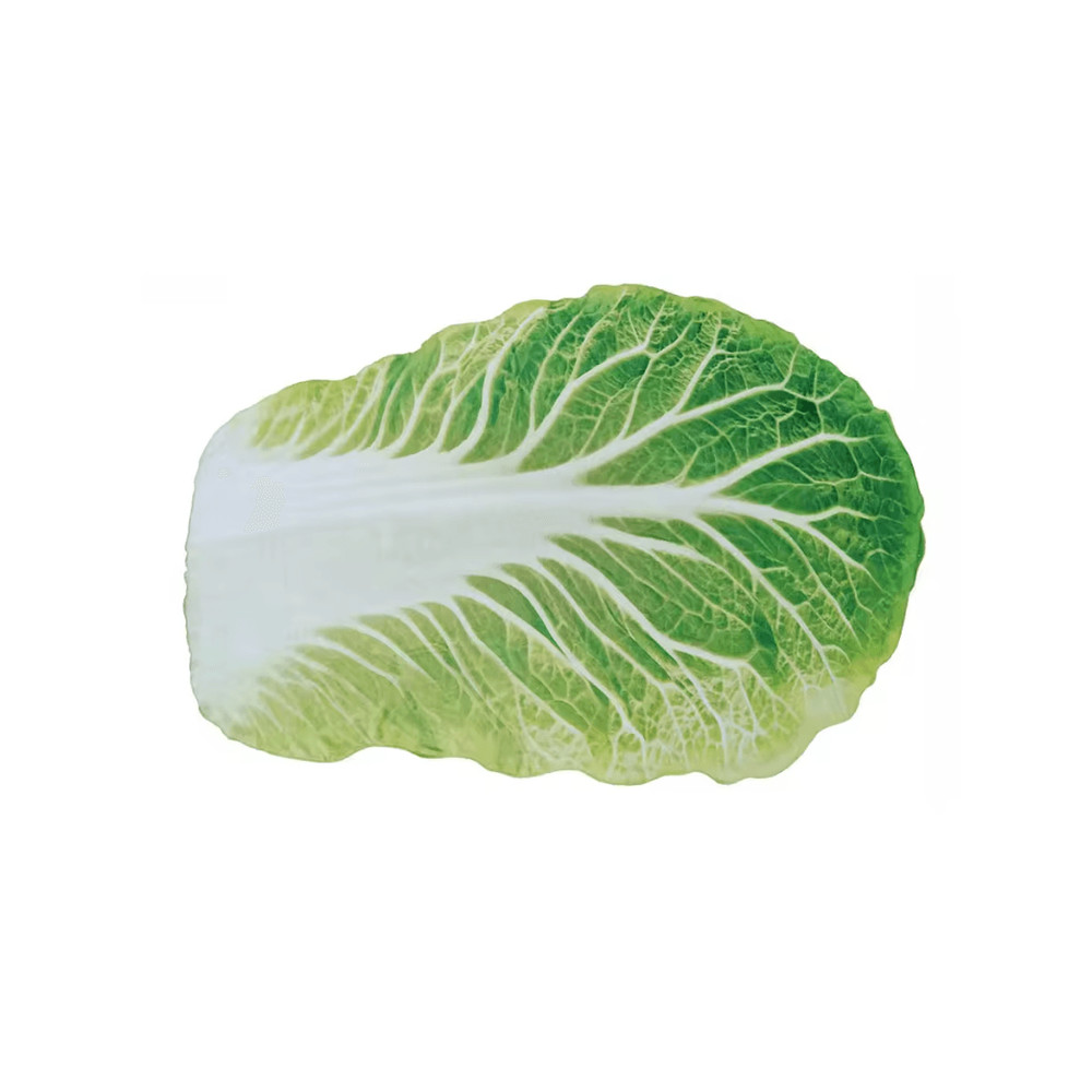 Cozy Cabbage Flannel Throw Blanket Cute Sofa Blanket For Home 1