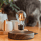 Magnetic Levitating LED Bulb Desk Lamp 2