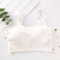 Seamless Cotton WireFree Tube Top Bra 5