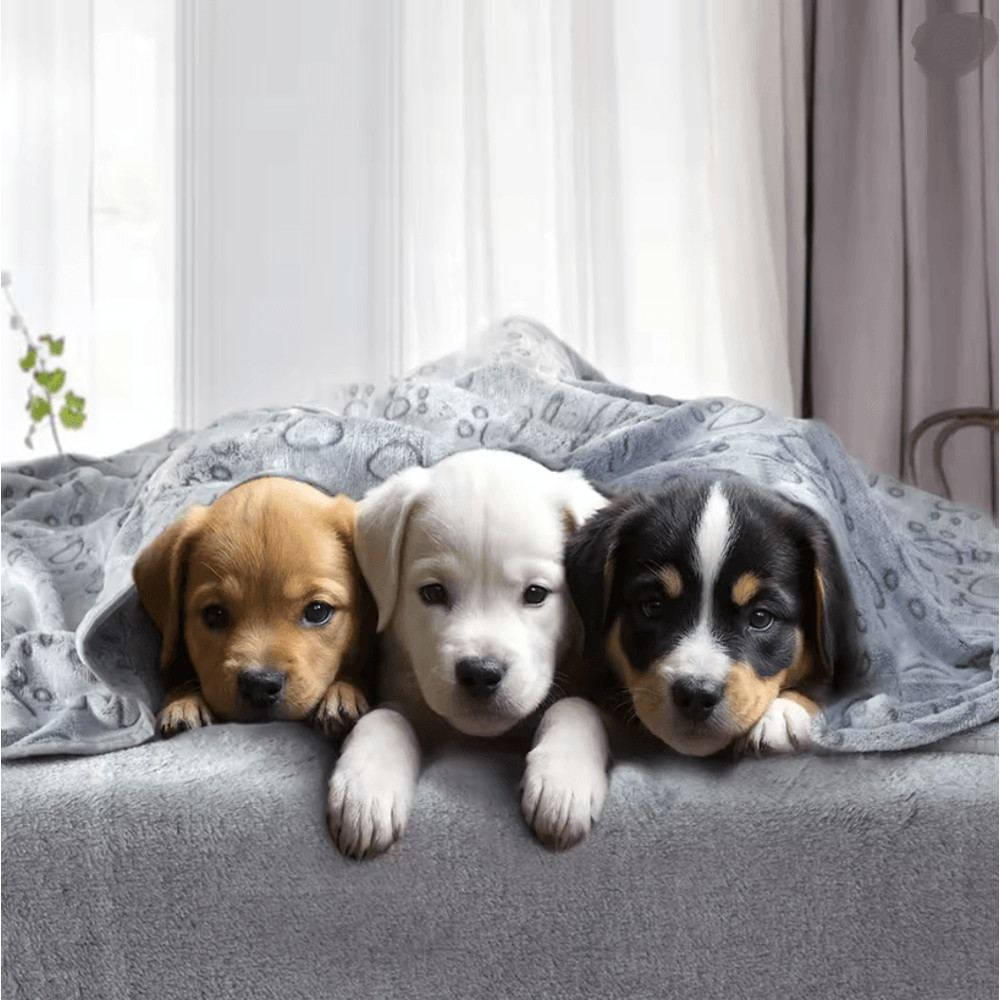 PawHaven Ultra Soft Dog Blanket Cozy Washable Pet Throw For Indoor And Outdoor Comfort 1