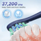 SEJOY Sonic Electric Toothbrush Rechargeable Waterproof With 5 Cleaning Modes 1