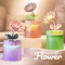 BloomMist Portable USB Humidifier And Aroma Diffuser With Colorful Light 1