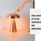 Retro Rechargeable Mushroom LED Table Lamp Warm Touch Sensor Nightlight 2