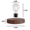 Magnetic Levitation Lamp With Floating LED Bulb 1