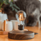 Magnetic Levitation Lamp With Floating LED Bulb 2
