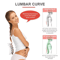 Back Brace For Lower Back Pain Relief With Lumbar Support Belt And Ergonomic Design 5