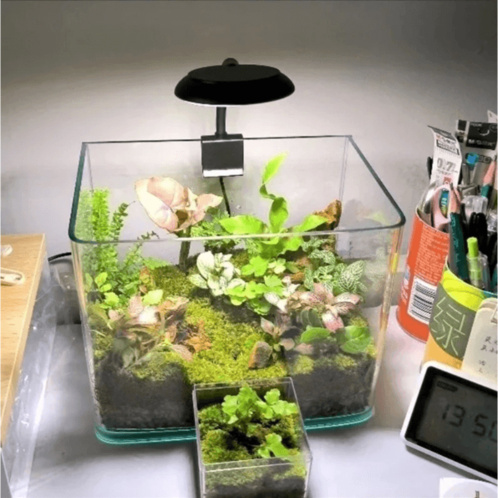 AquaGlow USB Aquarium LED Lamp Clip On Full Spectrum Dimmable Light For Fish Tanks And Aquatic Plan 4