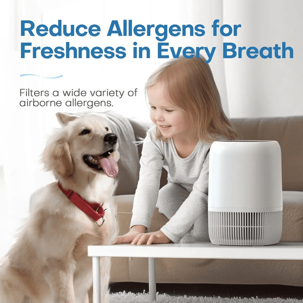HEPA Air Purifier For Bedroom And Home With Fragrance And Timer 3