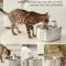 Wireless Cat Water Fountain 4L Automatic Pet Drinking Dispenser With Sensor 2