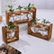 HeartBloom Glass Vase With Wooden Stand For Hydroponic Plant Propagation And Home Decor 0