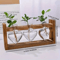 HeartBloom Glass Vase With Wooden Stand For Hydroponic Plant Propagation And Home Decor 4
