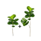 EverVerde Large Artificial Ficus Tree 5