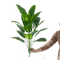 EverBloom Tropical Palm And Monstera Artificial Plant 2