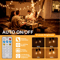 GlowGarden Solar Globe String Lights G40 Outdoor Set 1