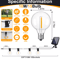 GlowGarden Solar Globe String Lights G40 Outdoor Set 4