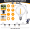 GlowGarden Solar Globe String Lights G40 Outdoor Set 6