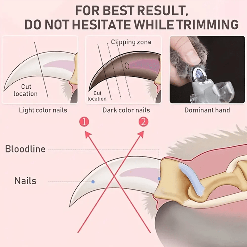 PawBright LED Pet Nail Clippers With Magnifier 4