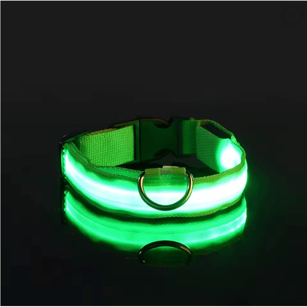 GlowGuard LED Dog Leash And Collar Set 1