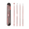 ClearSkin Precision Blemish Extractor Tool Set 4