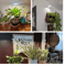 Indoor Full Spectrum LED Plant Grow Light Four Level Dimming Adjustable Height Stand 3