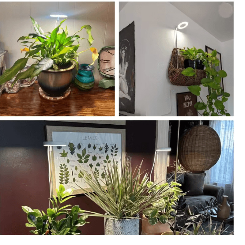 Indoor Full Spectrum LED Plant Grow Light Four Level Dimming Adjustable Height Stand 3