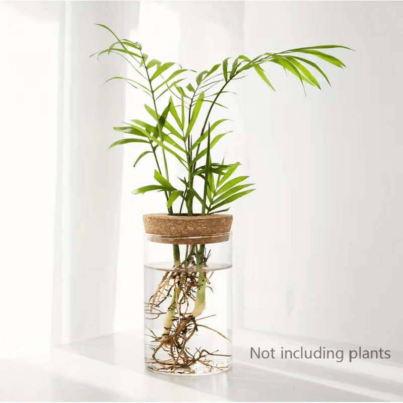 AquaBloom Desktop Glass Hydroponic Planter Vase 4