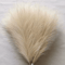 BloomAura Artificial Pampas Grass Set 5