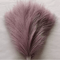 BloomAura Artificial Pampas Grass Set 8