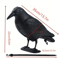RealGuard Black Crow Decoy Realistic Bird Repellent For Garden Yard And Outdoor Pest Control 1