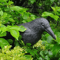RealGuard Black Crow Decoy Realistic Bird Repellent For Garden Yard And Outdoor Pest Control 2