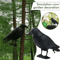 RealGuard Black Crow Decoy Realistic Bird Repellent For Garden Yard And Outdoor Pest Control 3