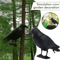 RealGuard Black Crow Decoy Realistic Bird Repellent For Garden Yard And Outdoor Pest Control 3