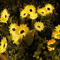 SunGlow Solar Sunflower Garden Light Outdoor Waterproof Decoration 3