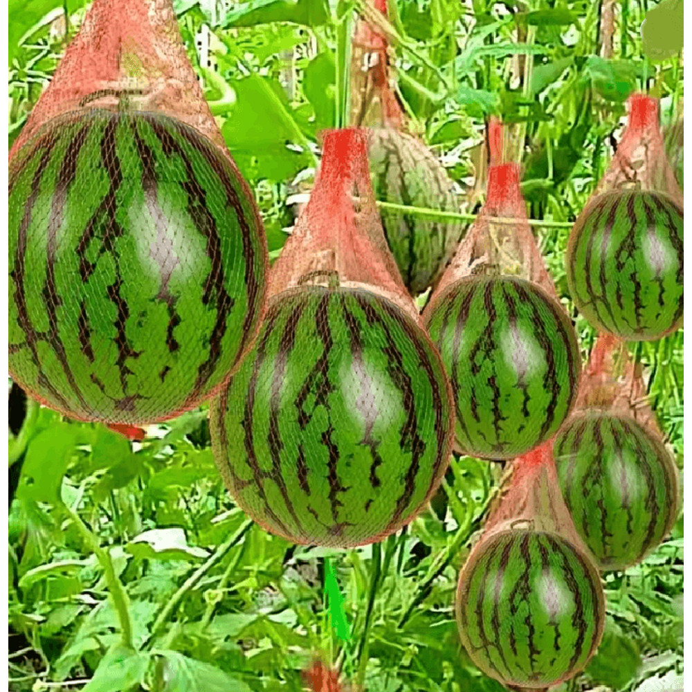 GrowNet Heavy Duty Plastic Garden Netting 100 Pack For Vertical Support And Crop Protection 0