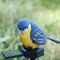 LumiBird Solar Resin Bird Garden Light Outdoor Lawn Decoration 2