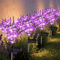 GardenGlow Lavender Butterfly Solar Stakes Yard Lights 0