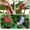 GrowSculpt Plant Bender Clips Set Branch Trainer Plant Shaping Device 1