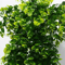 EverVine Artificial Eucalyptus Hanging Rattan Greenery 3