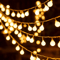 GlowGarden 10 M USB Battery LED String Lights Garland 1
