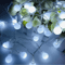 GlowGarden 10 M USB Battery LED String Lights Garland 5