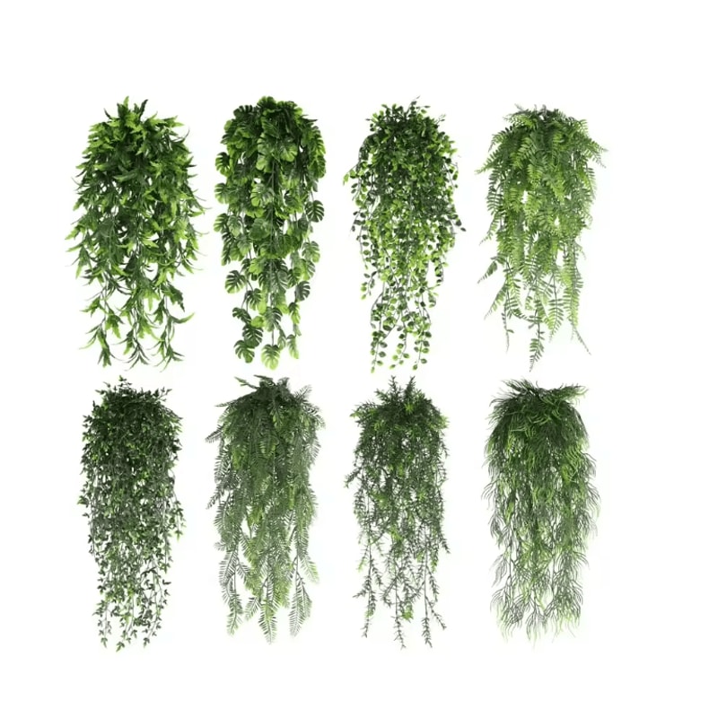 EverGreen Persian Fern Vine 90 Cm 0