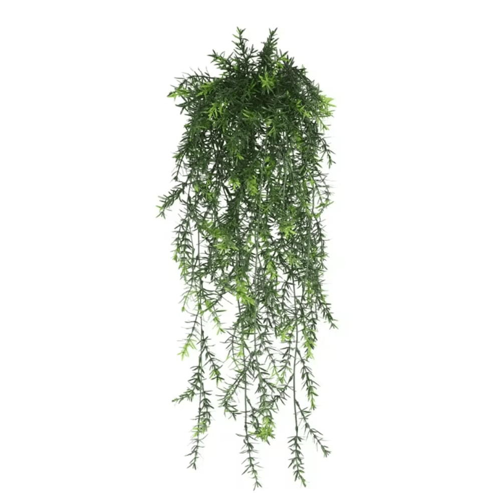 EverGreen Persian Fern Vine 90 Cm 3