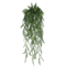 EverGreen Persian Fern Vine 90 Cm 3